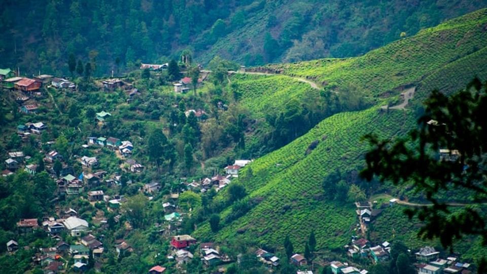 Kalimpong View